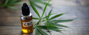 5 datos del CBD que necesita saber