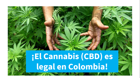 ¡El Cannabis (CBD) es legal en Colombia!