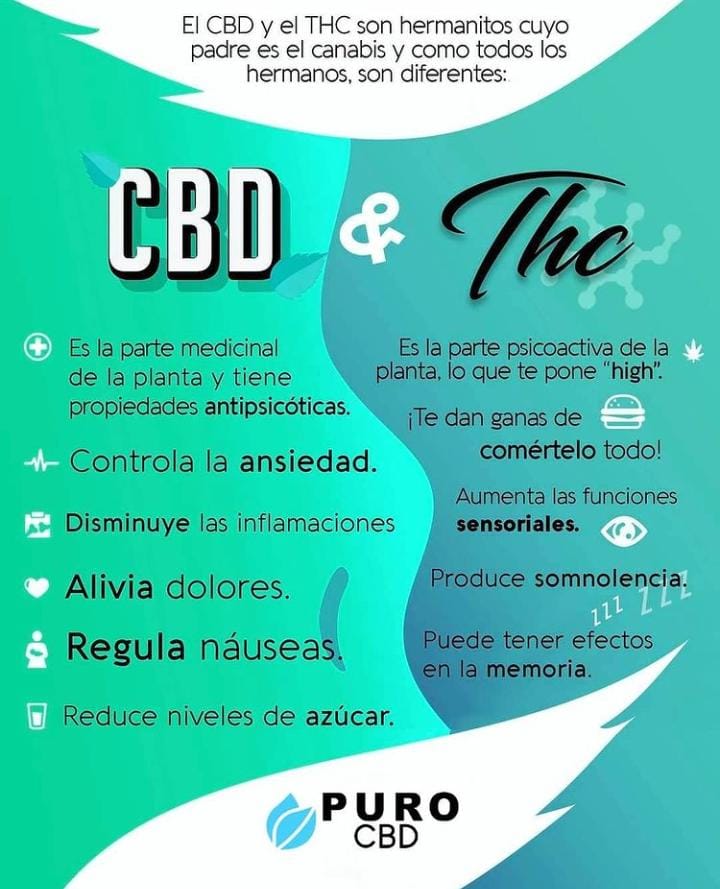 El CBD y el THC