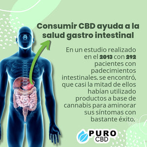 ¿Podemos usar CBD para tratar trastornos gastrointestinales?