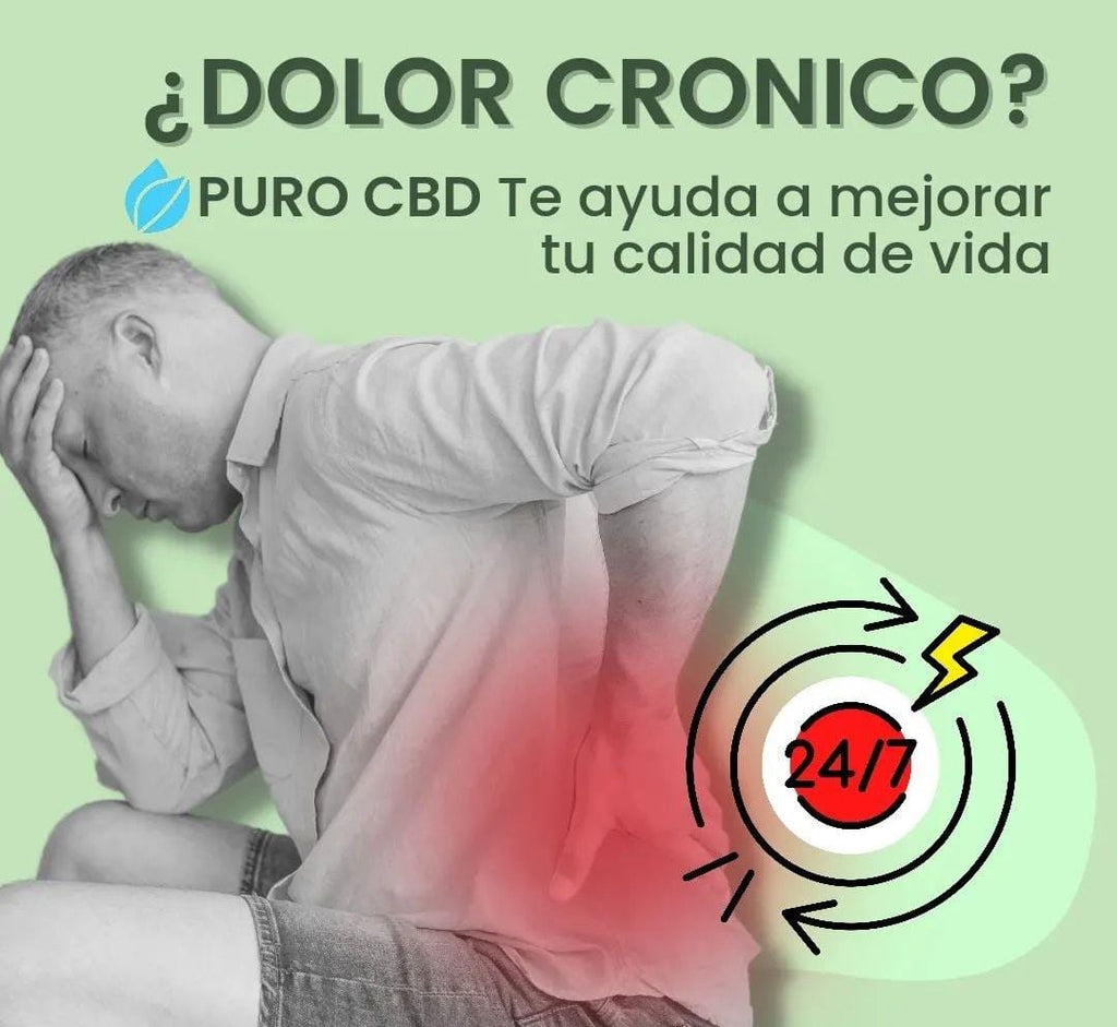 ¿FUNCIONA EL CBD PARA EL DOLOR CRÓNICO?