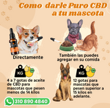 Aceite de CBD para MASCOTAS