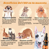 Aceite de CBD para MASCOTAS