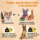 Aceite de CBD para MASCOTAS