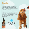 Aceite de CBD para MASCOTAS