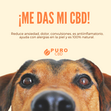 Aceite de CBD para MASCOTAS